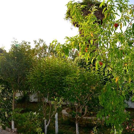 Kostas' Garden Apartment Roda  Exterior photo