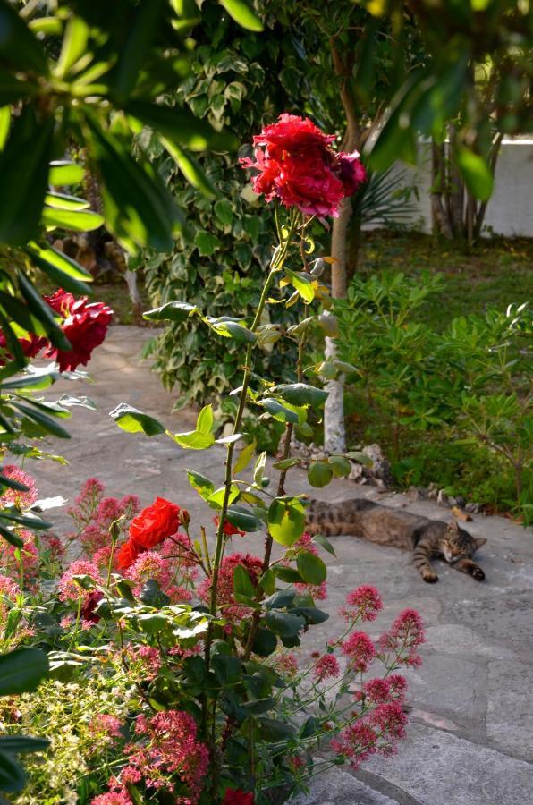 Kostas' Garden Apartment Roda  Exterior photo