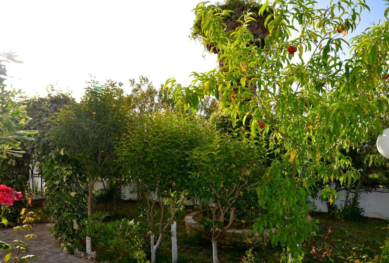 Kostas' Garden Apartment Roda  Exterior photo